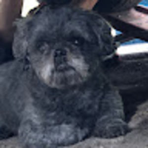 Meet your Posher, Charlene’s